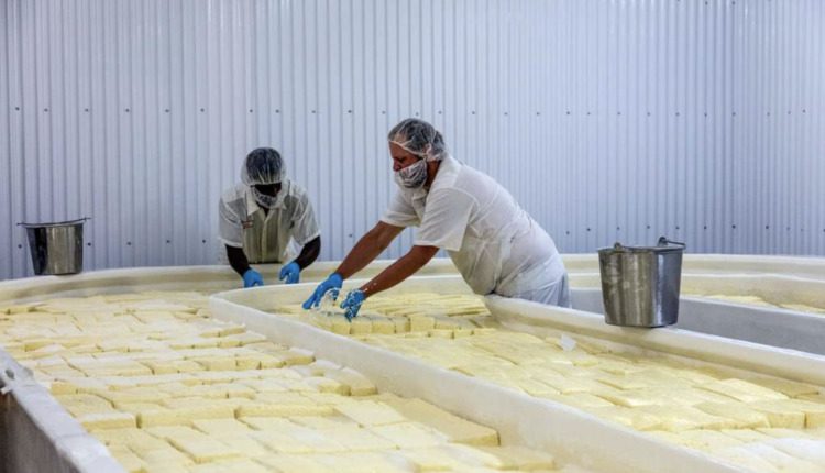 2025 Bucket List: Take a Tour of a Cheese Factory